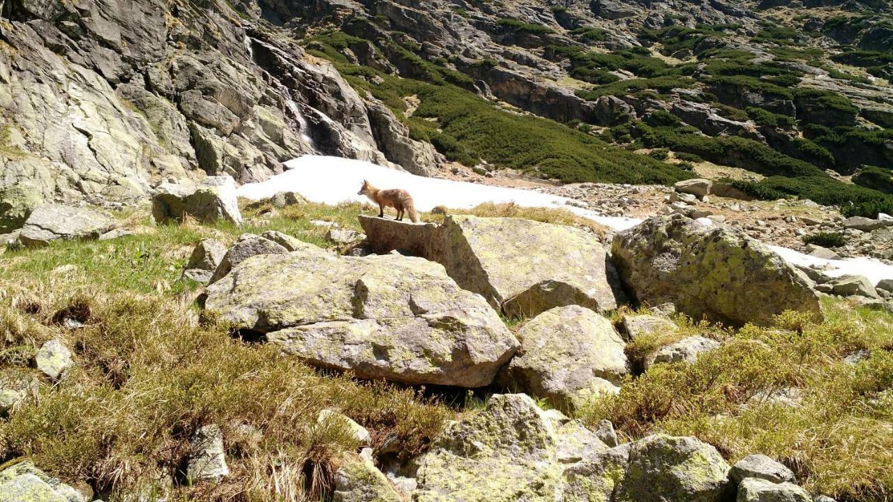 Apartment Lucy - Primo Tatry Stary Smokovec Vysoké Tatry Eksteriør bilde